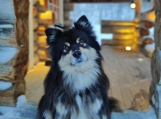 Aeijaen Moekki Сasa de vacaciones *